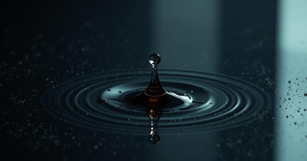 Contagion Model: From Oil Shock to Financial Crisis
